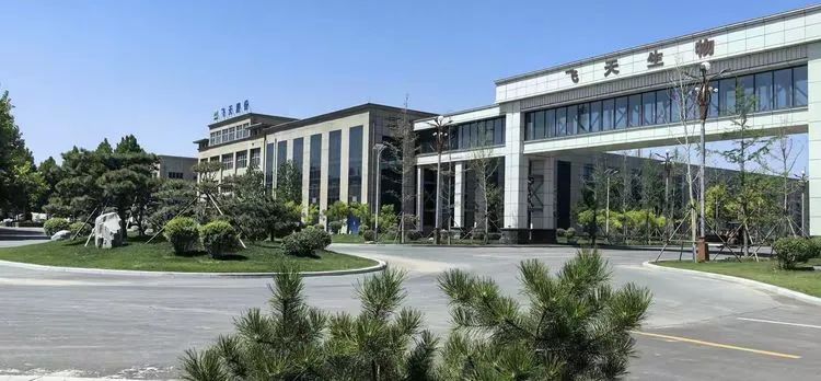 河南飞天生物聚力创新发展